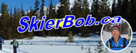 Top 20 Ski Blogs 2019 skierbob
